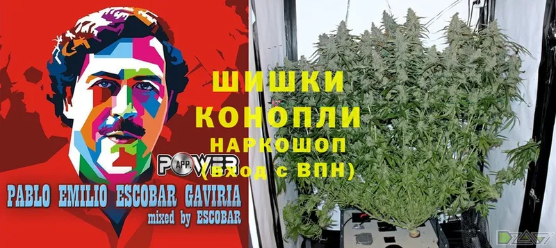 закладка  MEGA рабочий сайт  Бошки Шишки OG Kush  Бузулук 